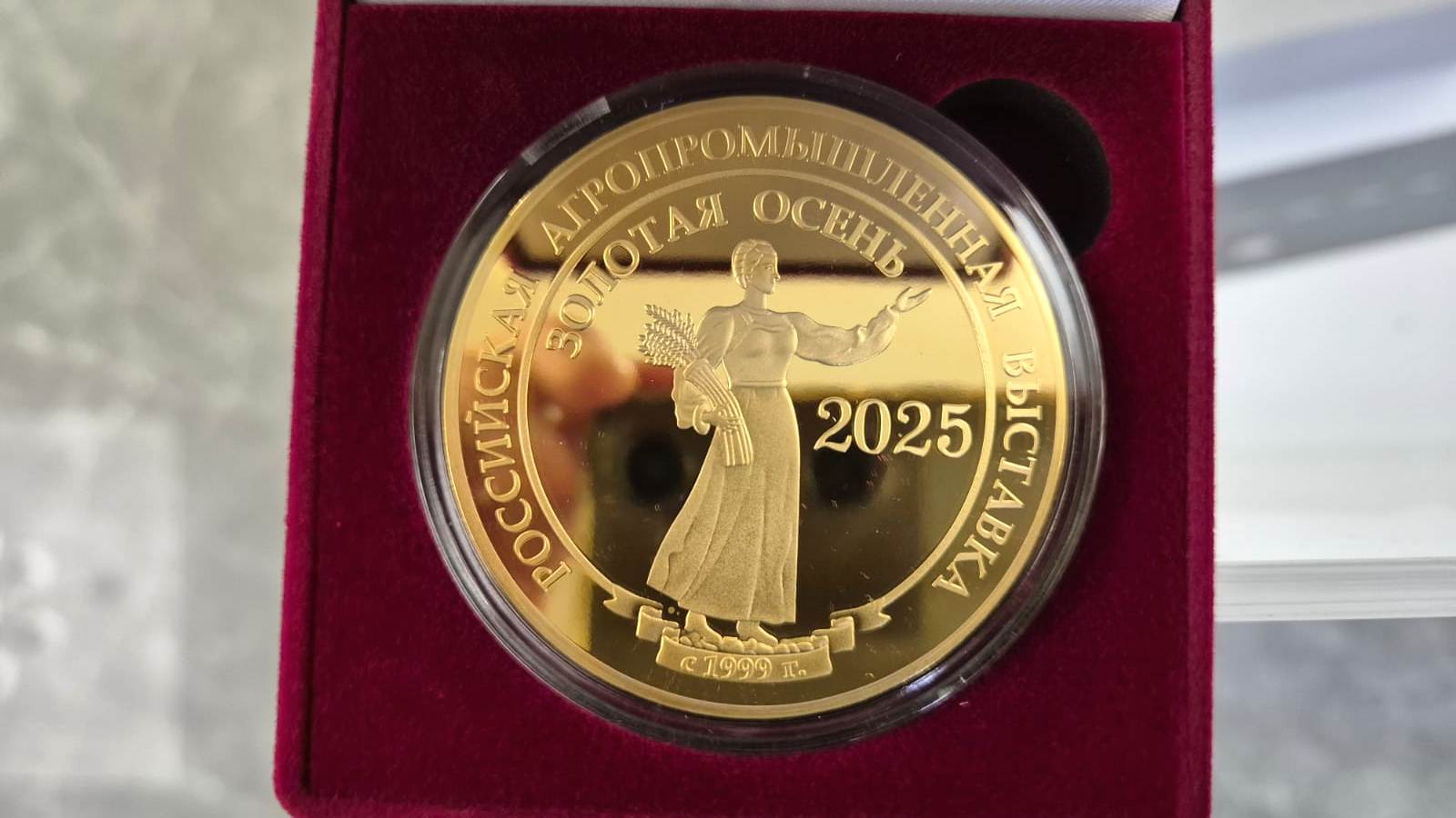 WhatsApp Image 2025-11-13 at 14.33.35 (2).jpeg